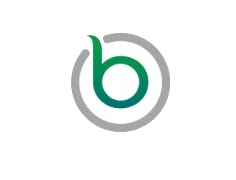 Bruised Onion